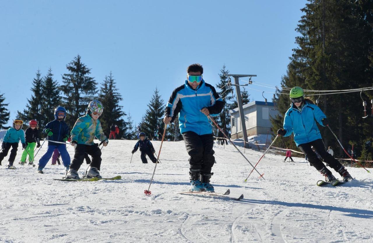 Zlatarske brvnare Zlatar Chalets Nova Varoš Exteriör bild