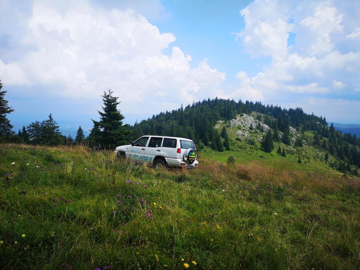Zlatarske brvnare Zlatar Chalets Nova Varoš Exteriör bild