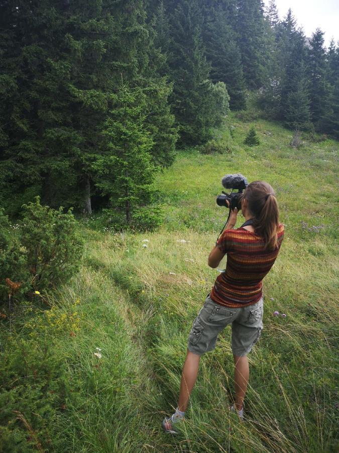 Zlatarske brvnare Zlatar Chalets Nova Varoš Exteriör bild