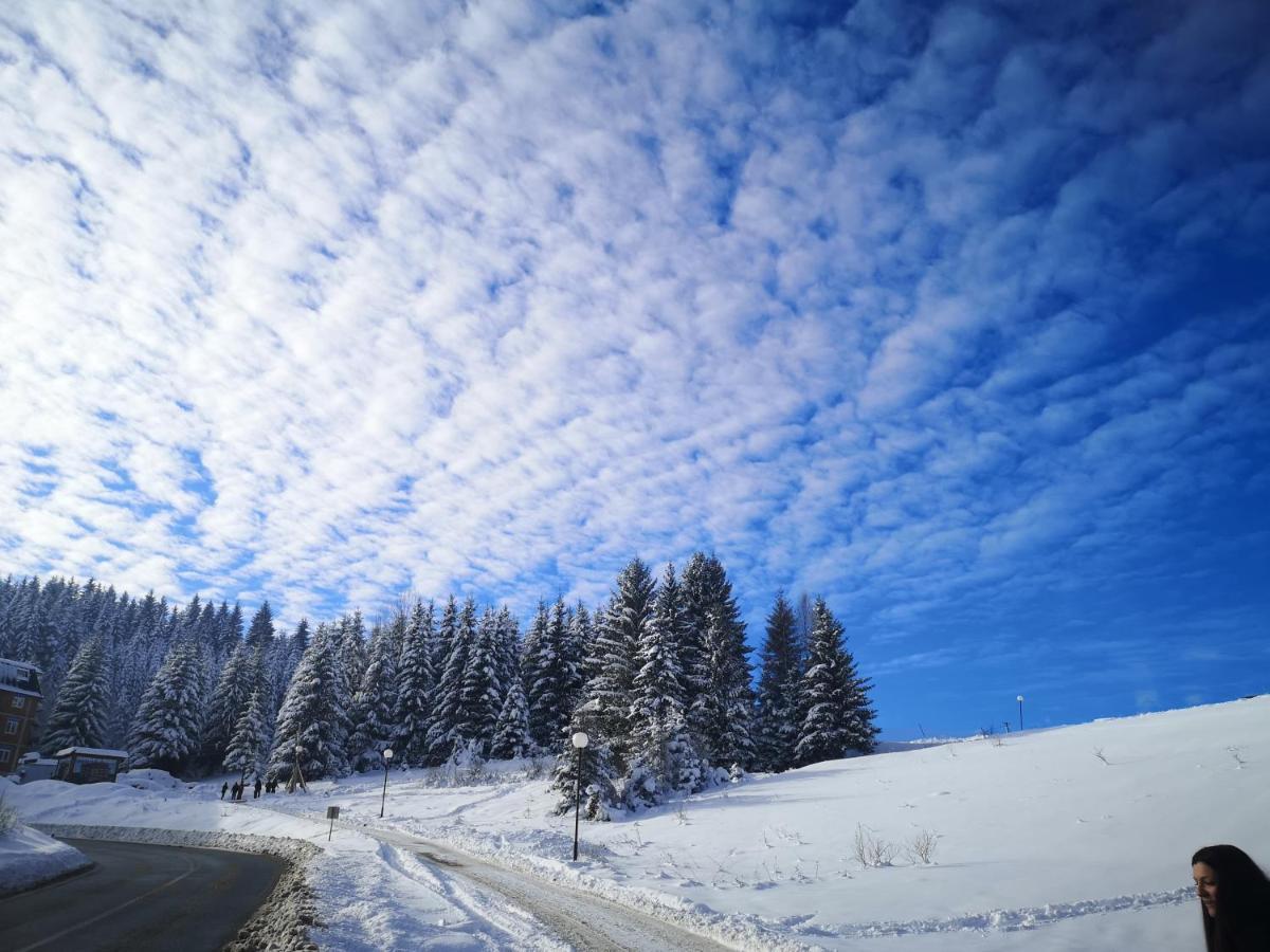 Zlatarske brvnare Zlatar Chalets Nova Varoš Exteriör bild